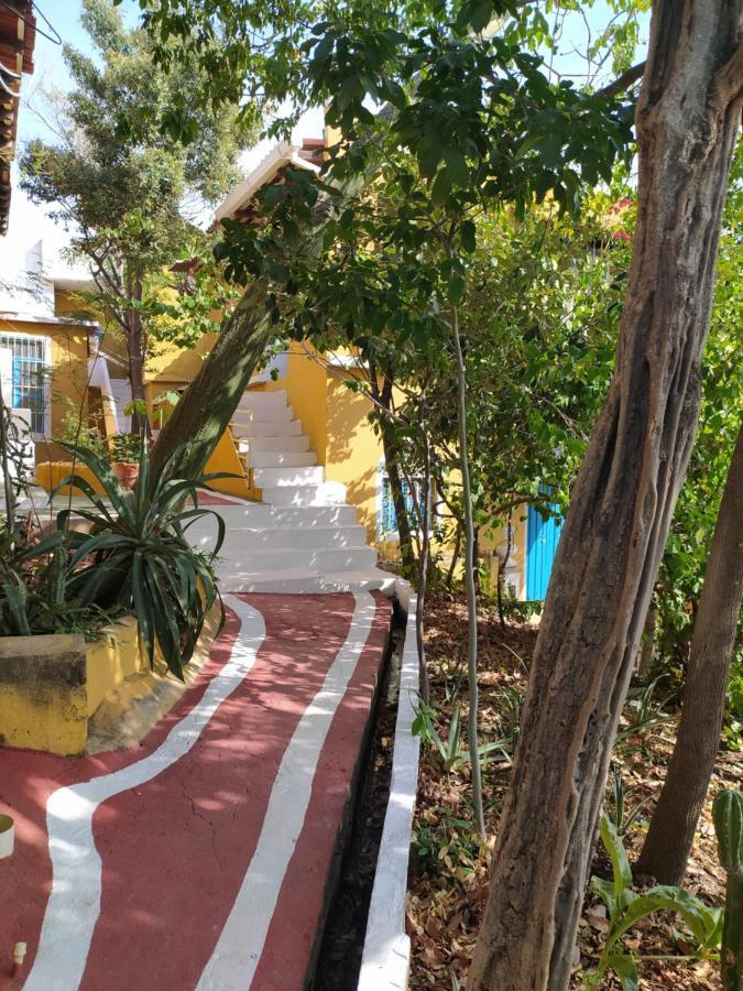 Jardin Etnobotanico Villa Ludovica Santa Marta  Eksteriør bilde